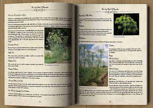 The lost book of herbal remedies ebook reviews download Official website